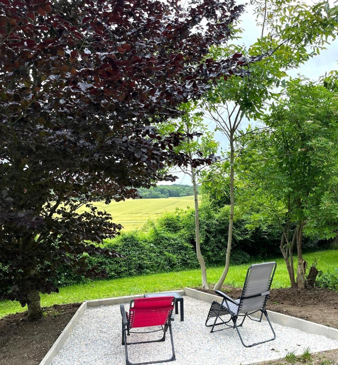 La Demeure D'Othe Bed & Breakfast Sormery Exterior foto