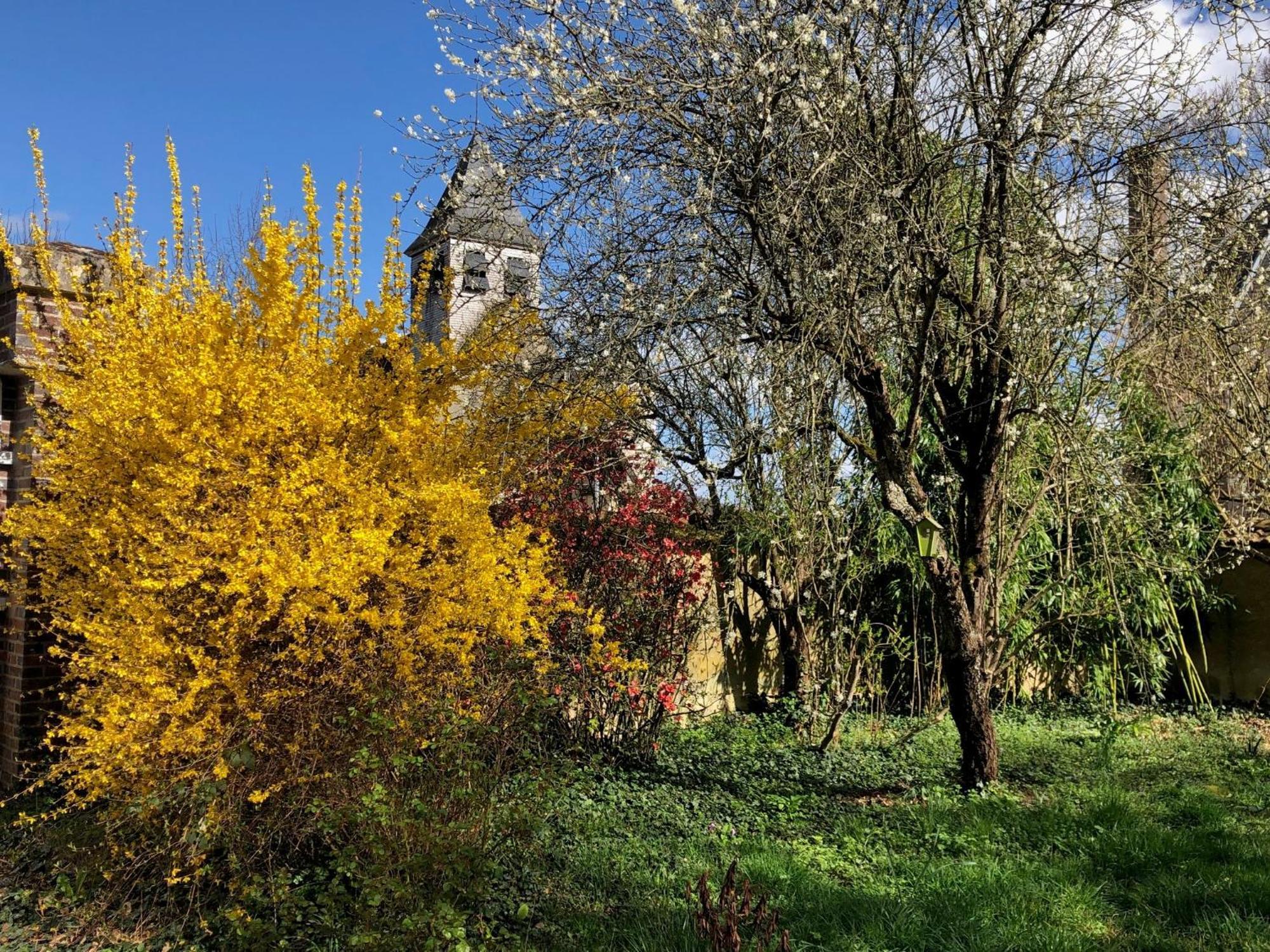 La Demeure D'Othe Bed & Breakfast Sormery Exterior foto
